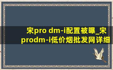 宋pro dm-i配置被曝_宋prodm-i(低价烟批发网)详细配置